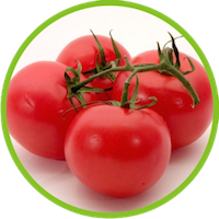 OP de Produtores de Frutas e Hortícolas